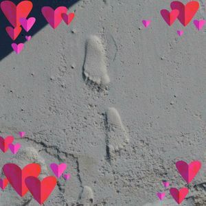 Meet your Posher, Roy